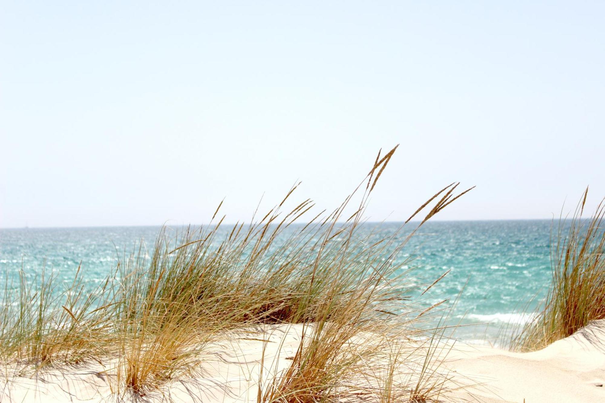 Ocean Sands Beach Inn (Adults Only) St. Augustine Eksteriør bilde