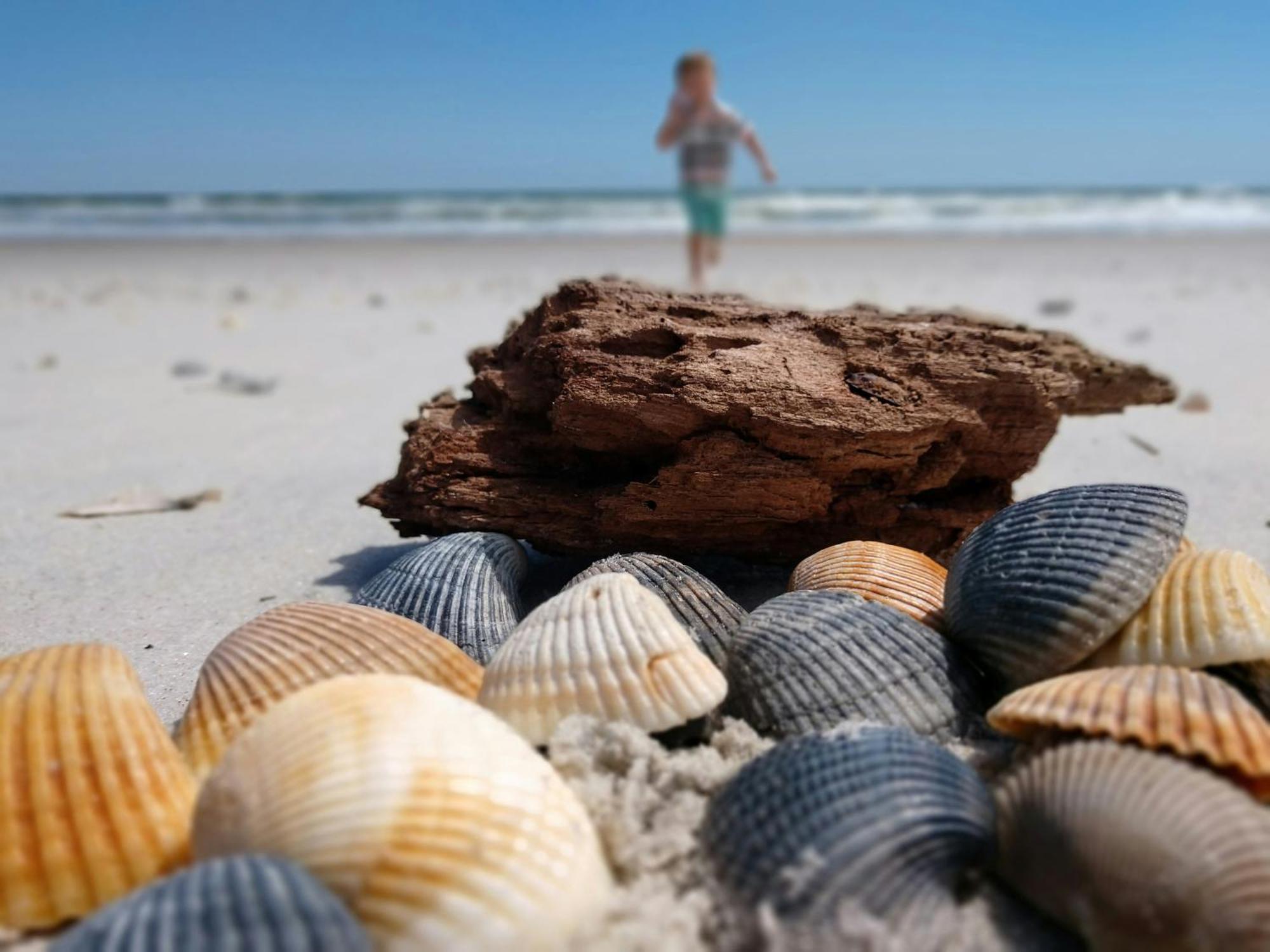 Ocean Sands Beach Inn (Adults Only) St. Augustine Eksteriør bilde